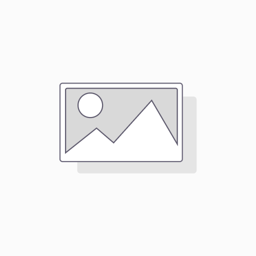 256 GB SD Card